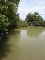 
Great Caucasus Mountain Range distant mountain pictures beautiful landscape strawflower autumn rocky bay vital road winter snowy villages landscape photographer designer high quality download