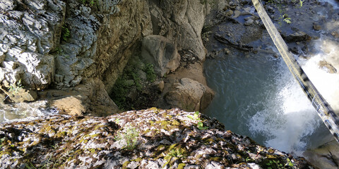 Caucasus Mountains natural mountain forest, pine trees, waterfalls, red flowers and high quality nature photographer discount landscape images for designers