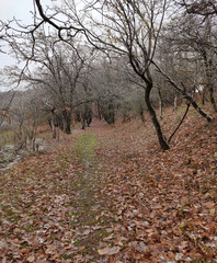 
Caucasus Mountains distant mountain pictures beautiful landscape autumn spring cliffs bay vital road winter snowy villages landscape photographer designer high quality download