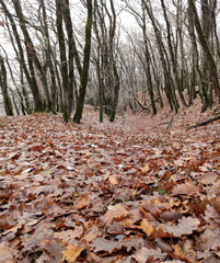 
Caucasus Mountains distant mountain pictures beautiful landscape autumn spring cliffs bay vital road winter snowy villages landscape photographer designer high quality download