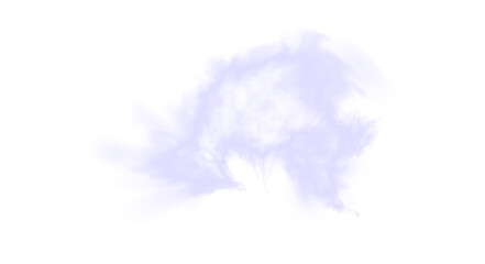 Fototapeta premium A soft purple glowing cloud effect in PNG format with subtle dispersion and airy texture, suitable for fantasy overlays and magical compositions.