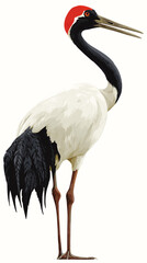Naklejka premium Vector illustration of a red-crowned crane bird isolated on a white background