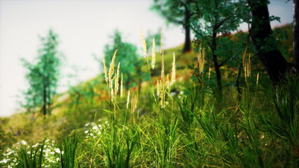 Golden grasses and colorful wildflowers dance in the wind, creating a serene atmosphere on a vibrant hillside. Sunlight filters through lush green trees, enhancing the natural beauty.