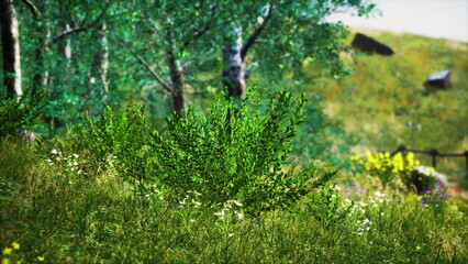 Vibrant greenery flourishes amidst bright blooms in a peaceful natural setting, surrounded by soft sunlight and gentle breezes, inviting tranquility and reflection in nature.