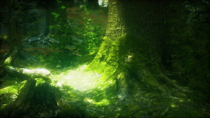 Sunlight filters gently through the canopy, illuminating a lush forest scene where soft moss covers the ground around sturdy tree trunks. Nature thrives in serene harmony.