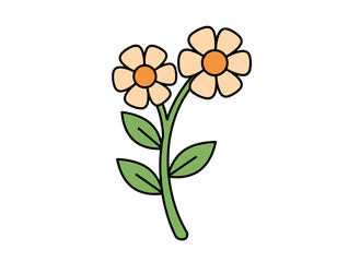 A wild field chamomile, a blooming herbaceous plant known for its healing medicinal properties, depicted as a botanical flat vector illustration with leaf and flowers against a white background
