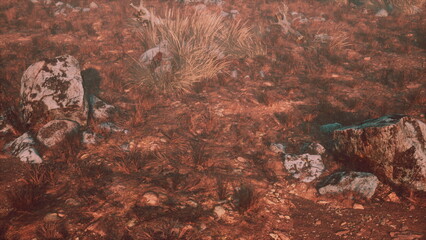 Warm sunlight bathes the arid landscape, illuminating the rugged rocks and sparse vegetation. The earthy tones create a serene atmosphere, perfect for reflection and exploration.