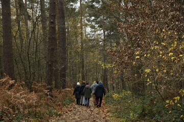 Promenade en pleine nature aux bois de Villers-la-Ville (Brabant-Wallon)
