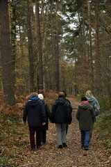 Promenade en pleine nature aux bois de Villers-la-Ville (Brabant-Wallon)