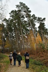 Promenade en pleine nature aux bois de Villers-la-Ville (Brabant-Wallon)