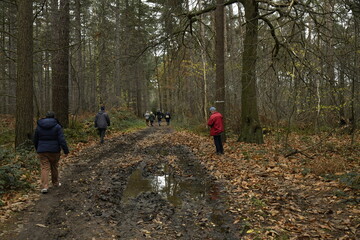 Promenade en pleine nature aux bois de Villers-la-Ville (Brabant-Wallon)
