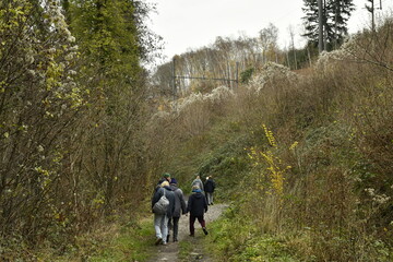 Promenade dans le bois de Villers-la-Ville (Nivelles)