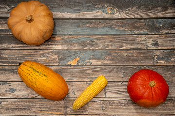 Rustic autumn flat lay with pumpkins, squash and corn on dark wooden background with copy space