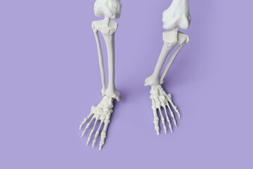 Legs of scary human skeleton on lilac background