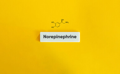 Norepinephrine Chemical Structure Formula Neurotransmitter Hormone Molecule Fight or Flight Stress Response Science Decor