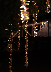 Vertical Christmas Lights Hanging on Trees at Night