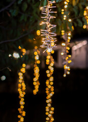 Vertical Christmas Lights Hanging on Trees at Night