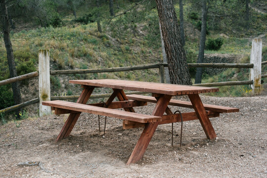 Rustic wooden picnic table in serene forest setting with lush greenery