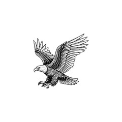 Engraving of a Eagle.