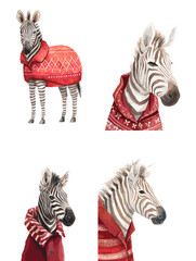 Obraz premium Elegant zebra dressed in a red winter sweater in a charming seasonal illustration. Stylish animal portrait perfect for holiday cards, prints, and creative design projects.