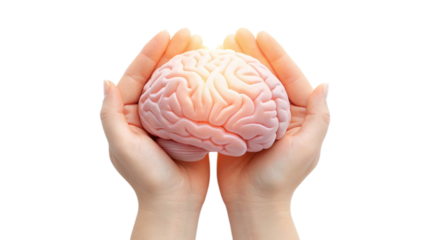 Mental Health Support Concept – Brain and Healing Hands Illustration on Transparent Background	
