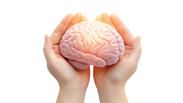 Mental Health Support Concept – Brain and Healing Hands Illustration on Transparent Background	
