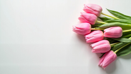 Pink tulips arranged on a white background  

