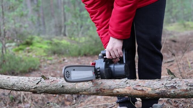 A woman holding a cordless red chainsaw. A girl is sawing a tree in a park. A cordless tool is sawing a tree. Tree cutting work in an outdoor park.