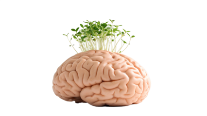 Mental Growth Concept PNG – Brain with Growing Plants on Transparent Background	
