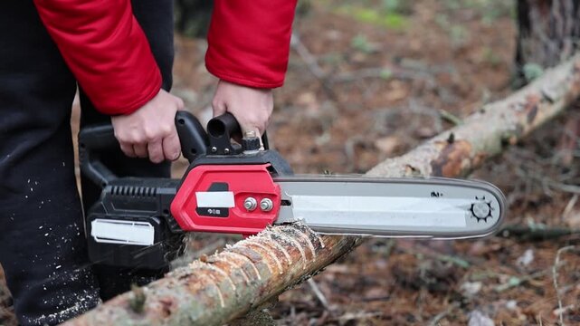 A woman holding a cordless red chainsaw. A girl is sawing a tree in a park. A cordless tool is sawing a tree. Tree cutting work in an outdoor park.
