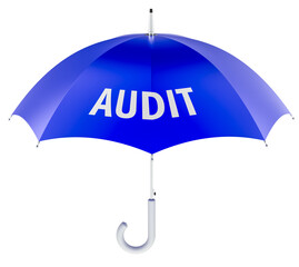 Audit concept with blue umbrella. 3D rendering