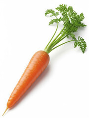 Fresh orange carrot with green tops on white background