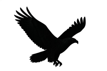 Obraz premium Black flying eagle silhouette with wings spread on transparent background representing power and freedom