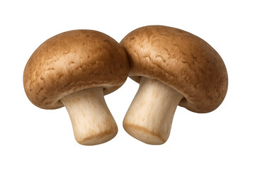 Two fresh brown cremini mushrooms for healthy cooking, isolated on a transparent background, offering natural organic food ingredients