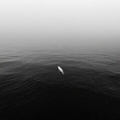 Minimalist view of white boat on dark, foggy water