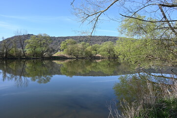 Main bei Kleinheubach