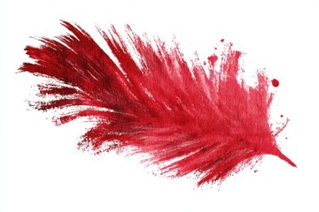 Red Feather Abstract Art