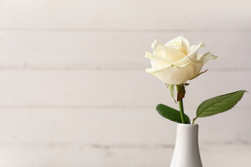 Fototapeta premium Vase with beautiful white rose on wooden background