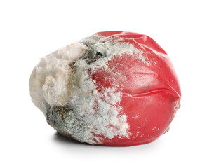 Moldy tomato on white background