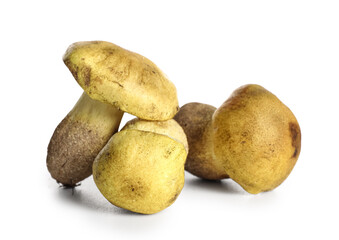 Fresh mushrooms isolated on white background, closeup