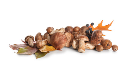 Fresh mushrooms and autumn leaves isolated on white background, closeup