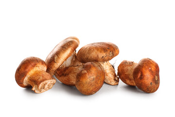 Heap of fresh mushrooms isolated on white background, closeup