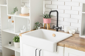 Shelf unit and sink with artificial plants in kitchen