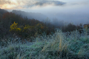 Rural Landscape in December