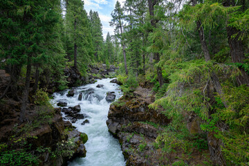 Oregon State Parks trails landscape river rocky whitewater hiking scenic white water waterfal