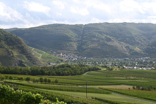 Weinberge bei Nehren; Blick nach Senheim