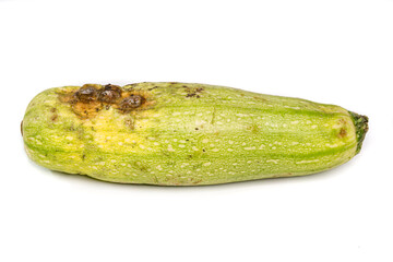 Rotten Squash With Mold: Spoiled Produce, Decay, Edible Waste, and Kitchen Hygiene
