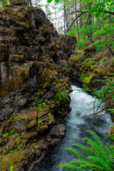 Oregon State Parks trails landscape river rocky whitewater hiking scenic