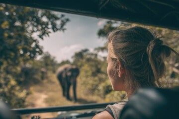 Safari Adventure with Elephant