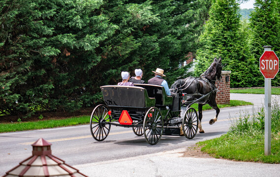 A horse-drawn carriage carries two passengers along a quiet road surrounded by lush greenery. The scene is calm and captures a moment of leisure in the countryside.